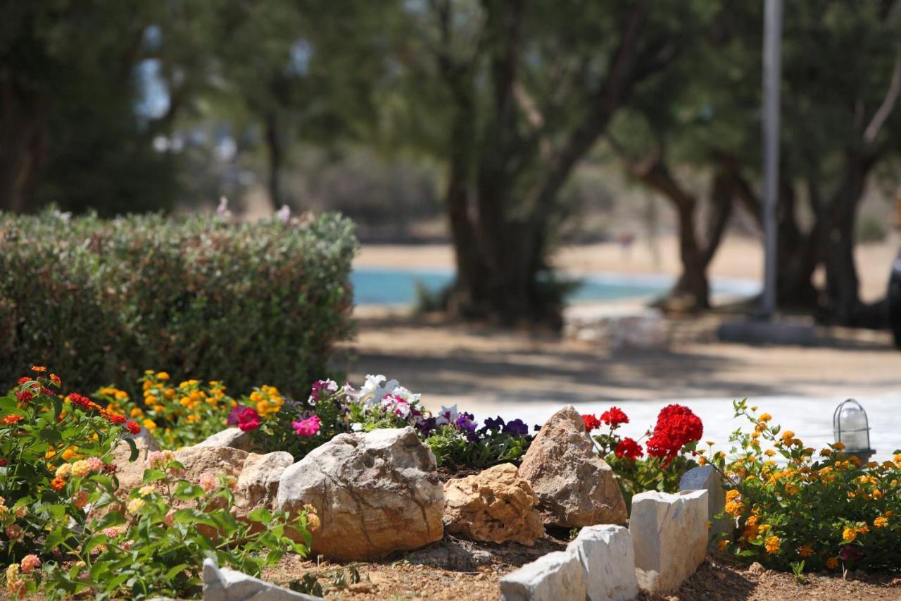 Paros Inn Logaras Dış mekan fotoğraf